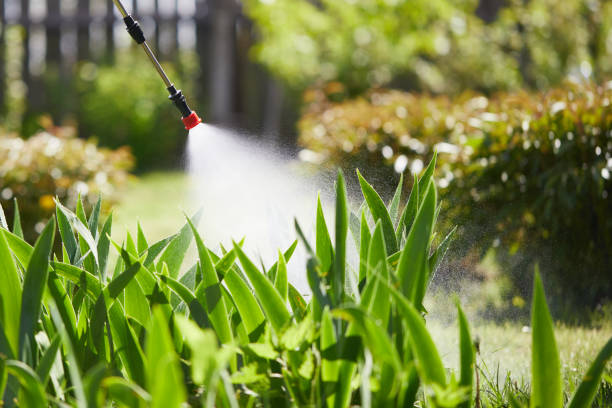 24/7 Emergency Mosquito Control experts in Wilson, AR